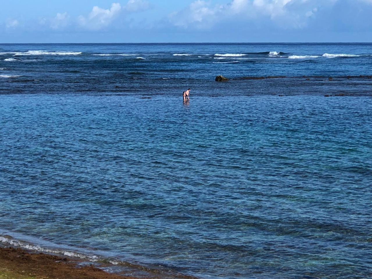 Mokule'Ia Beach Houses At Owen'S Retreat Waialua Exterior foto